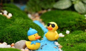 eE Aq ዾXq ~j eE tBMA ~j`A RPE ۃeE  RP ANAeE [NVbv p[c K[fjO ϗtA  |  