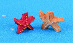 ЂƂ 2F  ANAE ۃE  eEtBMA ~jtBMA ~j`A Ci WI}RNV