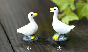 J TCY RPE Xm[h[ K[fjO |  ~j eE tBMA ~jϗt  RP [NVbvp[c ۃeE ϗtA ۃE ANAeE