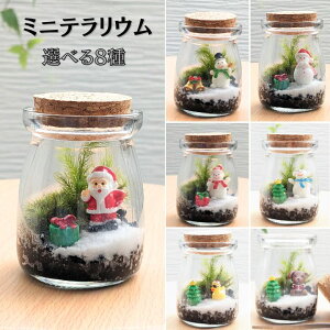 RPELbg yNX}Xz eES  Lbg 킹đۃeE a v[g [NVbv RSP qmLSP Vb|SP S ۃE ϗtA 