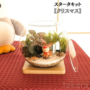 RPeELbg yNX}Xz eELbg RPeE  蕨 KX{E RPCeA ̓Mtg RPeELbg nLbg ۃCe