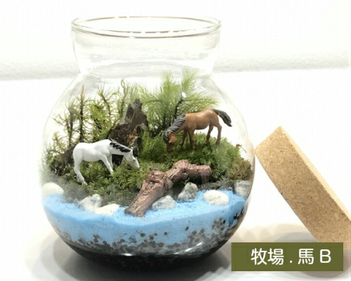 楽天市場 動物フィギュア うま2色 馬 2体 コケリウム スノードーム ガーデニング 園芸 おしゃれ ミニ テラリウム フィギュア ミニ観葉 苔 コケ ワークショップパーツ 苔テラリウム 観葉植物 苔リウム アクアテラリウム 園芸 苔盆栽 癒し Moss 初心者 テラリウム 楽天市場 動物フィギュア うま2色 馬 2体 コケリウム スノードーム ガーデニング 園芸 おしゃれ ミニ テラリウム フィギュア ミニ観葉 苔 コケ ワークショップパーツ 苔テラリウム 観葉植物 苔リウム アクアテラリウム 園芸 苔盆栽 癒し Moss 初心者 テラリウム
