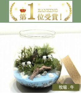 eELbg yqz  蕨 KX{E RPCeA ̓Mtg ̓ hV̓ RPeELbg nLbg ۃCeA ۃE RPE 쐬