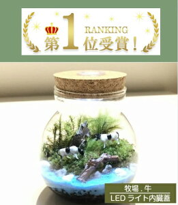 eELbg q LEDCgW RPeE  蕨 KX{E RPCeA ̓Mtg RPeELbg nLbg ۃCeA ۃE RP