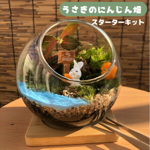 RPeELbg ŷɂ񂶂񔨁z eELbg RPeE  蕨 KX{E RPCeA ̓Mtg RPeELbg nLbg 