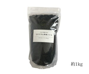 RPE p\C 1kg py y eE ۃeE O[ ϗtA nChJ`[ K[fjO | Aؔ ۖ~ ۍD RPCeA CAEg
