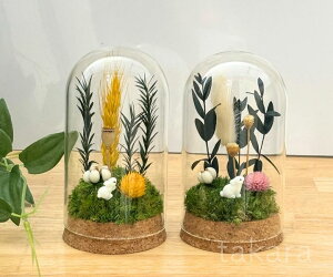 vU[uh eE hCt[KX{g yƖ쌴zKX{g ̓ ̓ a  i` lC  Mtg a v[g EFfBO 