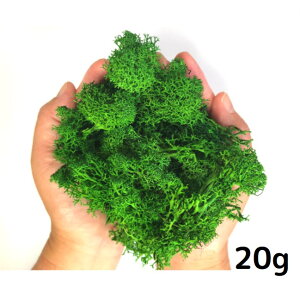 X CfBAX 20g 50g vU[uh vU[uht[ J[X O[X AW n[oE p[c  ԍ Ԏ f ޗ WI}   