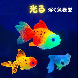  4F 鋛 ANAE   C  eE Cxg | RPE CeA 