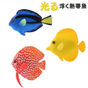 Mы 3 鋛 ANAE   C  eE Cxg | RPE CeA 