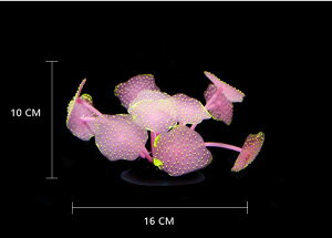 ̂TS 5F ANAE   C  eE Cxg | RPE CeA 