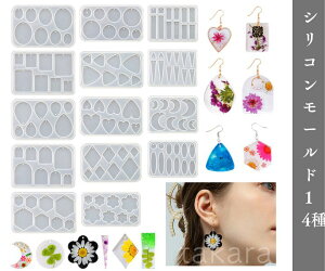 W VR[h 14 Op lp H` ~` n[g [h CO VRWI[h Ƃ̑ VR VR^ WNtg Ntg nhCh  W