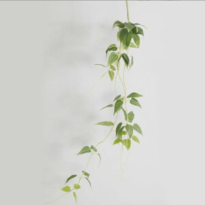 tFCNO[ @̗t C R` ϗtA Ǌ| ݂艺 CeA Ǐ 