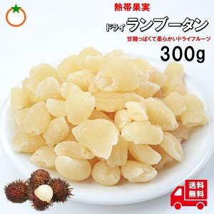 hC u[^ 300g Mщʎ C`Ɏ킢̃hCt[c [֔