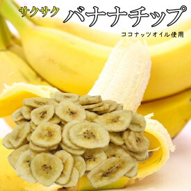 おやつ バナナチップ 500g サクサク食感 【ココナッツオイル使用】