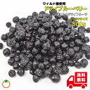 ドライブルーベリー たっぷりサイズ 500g ノンオイル 野生種ワイルドブルーベリー クロネコゆうパケット便発送