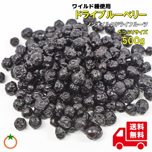 hCu[x[ ՂTCY 500g mIC 쐶탏Chu[x[ NlR䂤pPbg֔