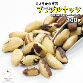 ブラジルナッツ 300g 生タイプ 無添加・無塩 ジャングルナッツ ミネラルの宝石 メール便発送