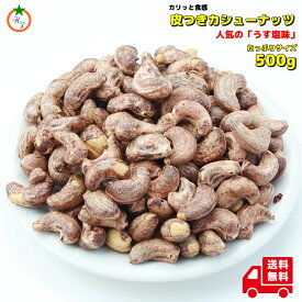 皮付きカシューナッツ 500g 食べやすいうす塩味 赤字覚悟のSALE価格　メール便発送