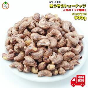 tJV[ibc 500g Hׂ₷ ԎoSALEi@[֔