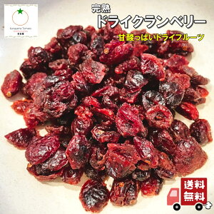 hC Nx[ Î_ςɂȂ nNx[gp lR|X֔