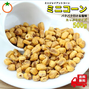 ~jR[  ՂTCY500g ~jWCAgR[ [֔