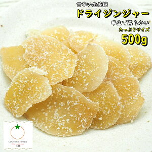 hCWW[ ՂTCY 500g ̏_炩ĨhCt[c I lR|X֔