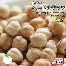 素焼き ヘーゼルナッツ たっぷりサイズ 500g 無添加・無塩 殻なし クロネコゆうパケット便発送