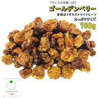 ドライ ゴールデンベリー たっぷりサイズ 700g 無添加・砂糖不使用 別名インカベリー 酸っぱさがクセにな…