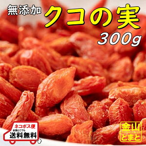Y NR̎ lCTCY300g [֑