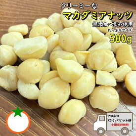 おつまみ マカダミアナッツ たっぷりサイズ 500g 無添加 塩不使用 クリーミーなナッツ クロネコゆうパケット便発送