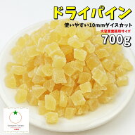 ドライパイナップル 便利なダイスカット 業務用サイズ 700g メール便発送