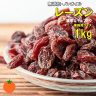 レーズン 無添加・ノンオイル 業務用サイズ 1kg アメリカ サンメイド社の濃厚なレーズン 完全無添加の干…