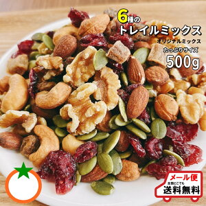 6ނ̃gC~bNX ҂TCY 500g XgC~bNX NlR䂤pPbg֔