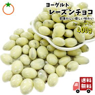 ヨーグルトレーズンチョコレート たっぷり 400g 昔懐かしい優しい美味しさ メール便発送