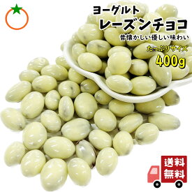ヨーグルトレーズンチョコレート たっぷり 400g 昔懐かしい優しい美味しさ メール便発送