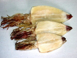 悷(2L4)5(230`240gSj