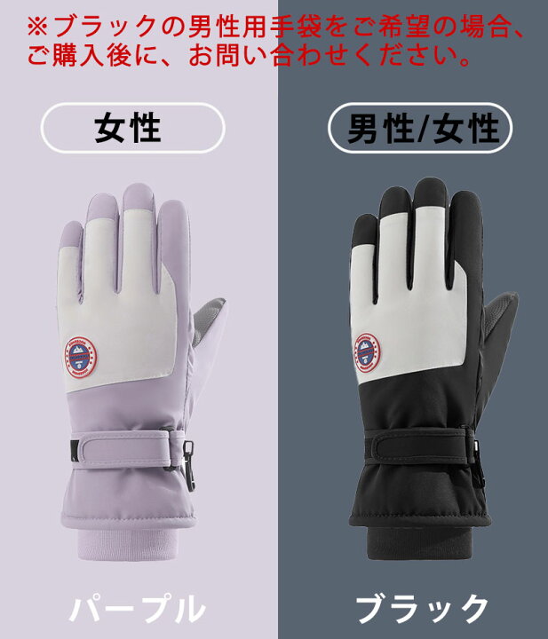 楽天市場】スキーウェア スノーボードウェア レディース 3点セット 
