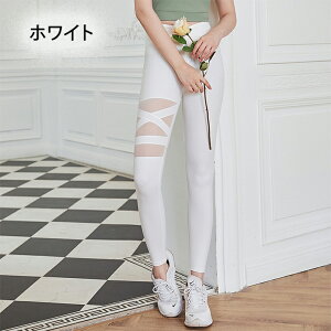 Kpc KMX fB[X pc yoga bV؂ւ  jO X|[cEGA KEGA O {gX XLj[ seBX _X W tBbglXEGA K 