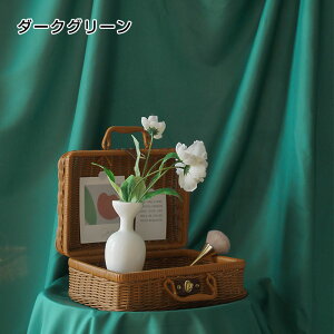 Bep wiz X^WI [NX}X a wiV[g Bepwiz 傫Ȕwiz Be NX}X  3M×2.4M 240*300cm Beʐ^ p[eB[ObY CeA Cxg b