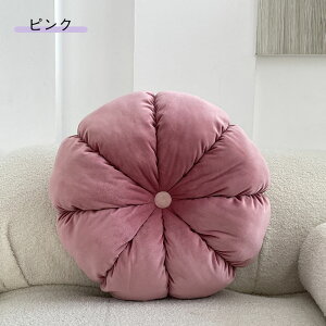 Ԍ^ NbV  k   w zc t[ i` 45×45cm _炩 ؍ G 킢 \t@ 1 fCW[   u q ʐ^ f l炵 JtF