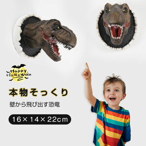 yǂ狰KI[IznEB Ǐ  Ǌ| IuWF nEB[ | { A Aj}wbh EH[fR[V CeA G  3D nEB