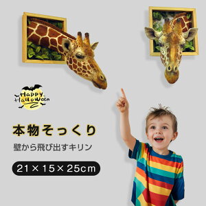 yǂLznEB Ǐ L Ǌ| IuWF nEB[ | { A Aj}wbh EH[fR[V CeA G  3D nEB ^ 