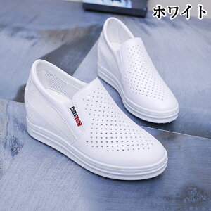  Xb| fB[X bV Cq[Xb| Xj[J[ 7.5cm TChSA EFbW\[ ăV[Y  r C gAbv ₷ Vv  ꂢ