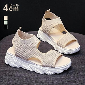 T_ RtH[g fB[X Cq[ C ؂T_ X|T ʋC I[vgD q[4cm ₷ bV KȗSn r JWA 킢 