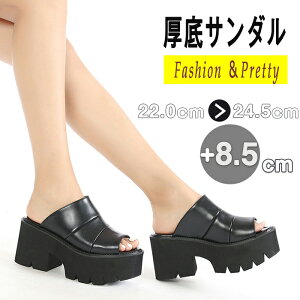 T_ EGbW\[ C T_ fB[X Cq[ I[vgD q[8.5cm ₷ ɂ r JWA  AEghA ~ r   