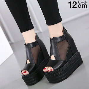 T_ X|T T}[u[c EGbW\[ C T_ fB[X Cq[ bV ؂ւ I[vgD q[12cm ₷ ɂ r JWA  