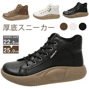 Xj[J[ nCJbgXj[J[ fB[X pvX 4cmq[ N r ҂ݏグ Xj[J[ fB[X V[Y  ₷ V[Y L V[Y  Vv 