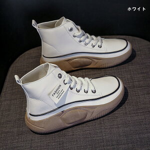 Xj[J[ nCJbgXj[J[ fB[X pvX 4cmq[ r ҂ݏグ Xj[J[ fB[X V[Y  ₷ V[Y L  Vv ؍ ₷