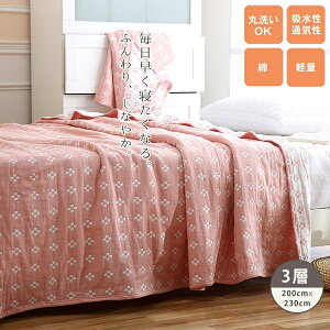 K[[Pbg VO 200×230cm ĂӂƂ Q |zc 3dK[[Pbg Rf i` |zc  y G蔧|zc ӂƂ K[[Pbg |zc 􂦂 Ȗѕz z 